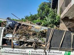 Best Electronics and E-Waste Disposal  in Rialto, CA